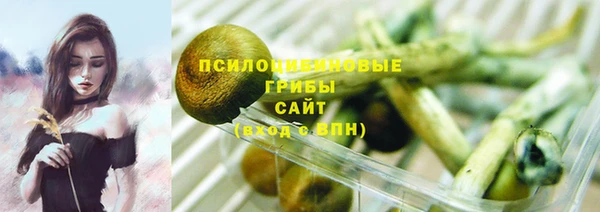 прущие крисы Балахна