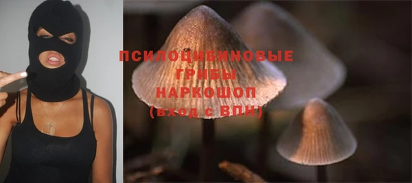 спайс Няндома