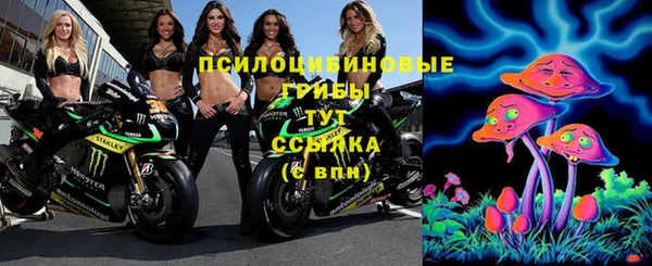 прущие крисы Балахна