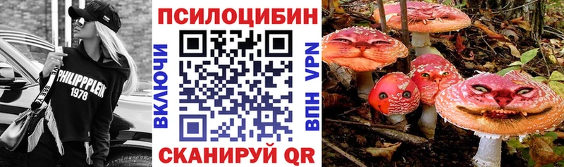 Галлюциногенные грибы мицелий  Лукоянов 
